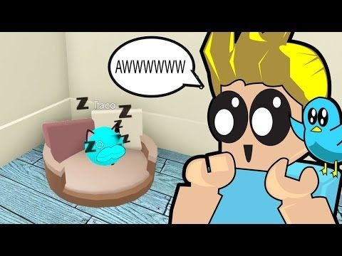 roblox meep