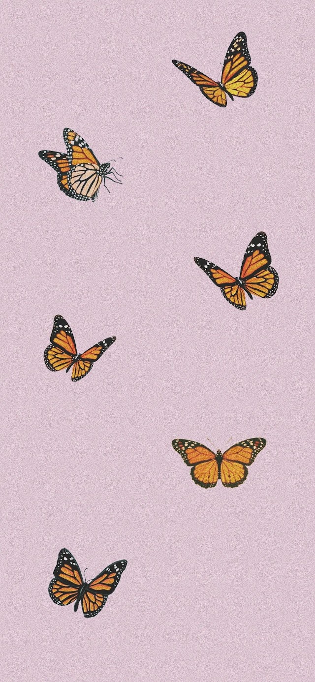 Featured image of post Butterfly Wallpaper Tumblr Iphone Pink Aesthetic Wallpaper - See more ideas about iphone wallpaper, cute wallpapers, aesthetic iphone wallpaper.