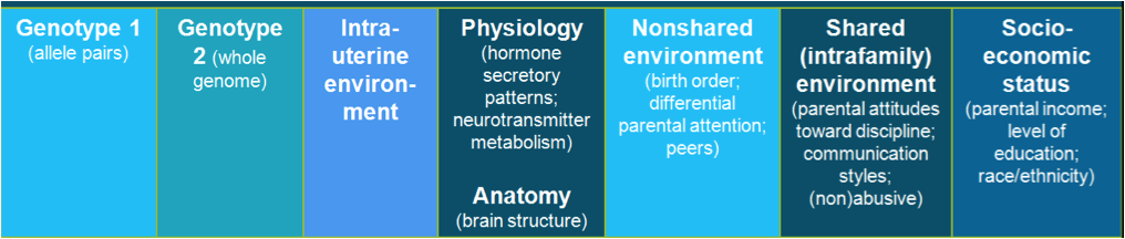 longino diagram