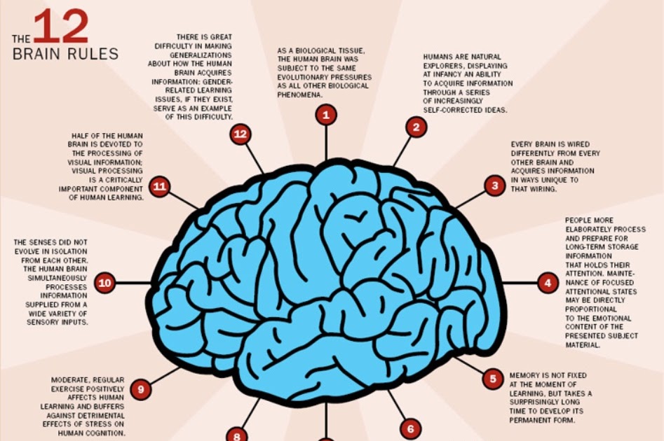 The 12 brain rules: What Brain Research Does (and Doesn’t ) Tell Us