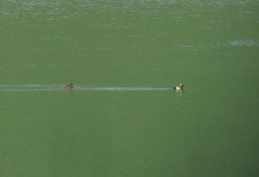 photo IMG_2302.jpg