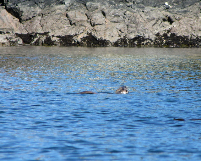 2011-07-24 - Discovery Island_0078 copy