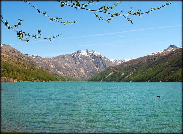 Coldwater Lake - Mt. St. Helens