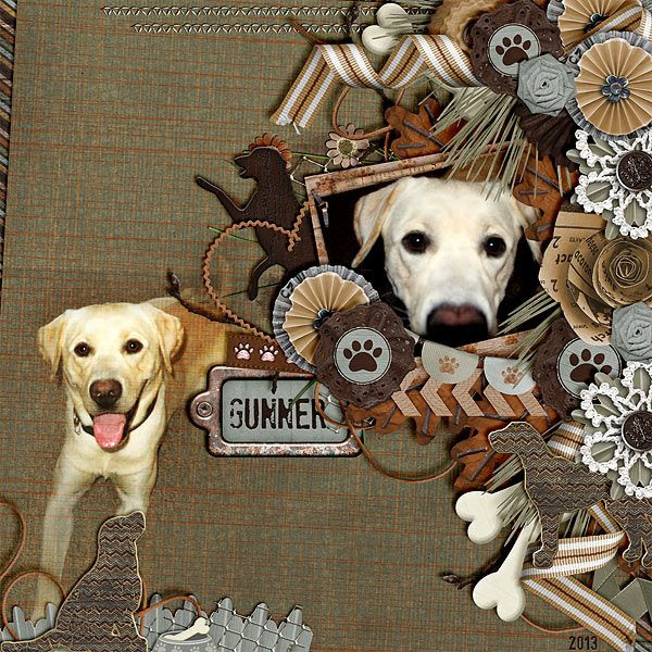 photo Gunner_BCMDPupPals_PTDComingHomeTmplt.jpg