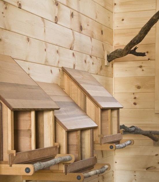 nl-small-chook-shed-plans