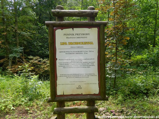 Rusowo - Park podworski Rusowo - Park podworski