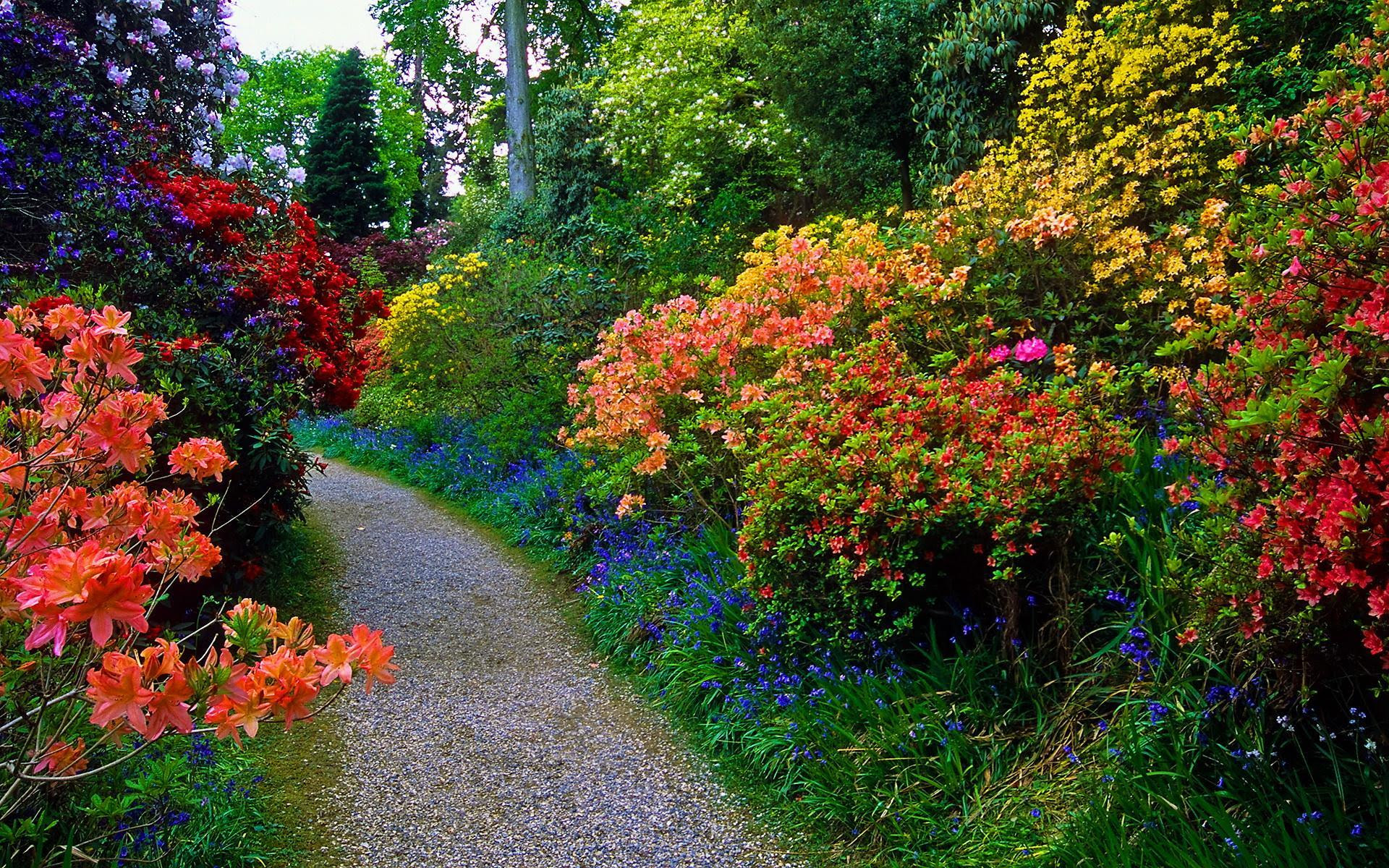Gambar Wallpaper Taman Bunga Gudang Wallpaper