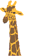 Giraffes Animated Images Gifs Pictures Animations Giraffes Animated Images Gifs Pictures Animations