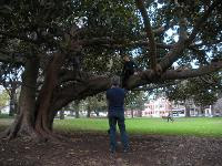 Free Image Hosting at www.ImageShack.us
