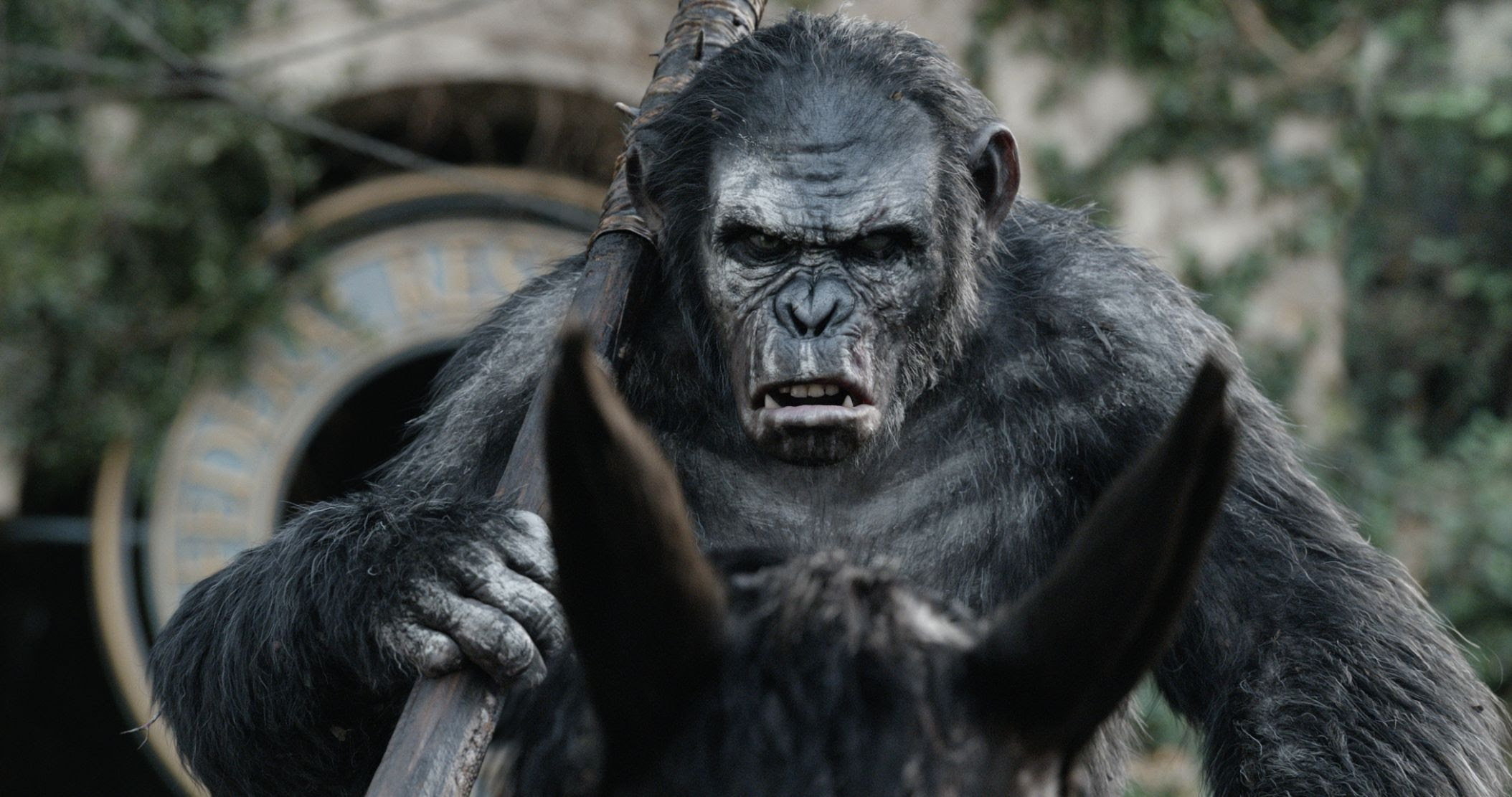 20 世纪影业宣布制作《猩球崛起》系列新片 – NOWRE现客