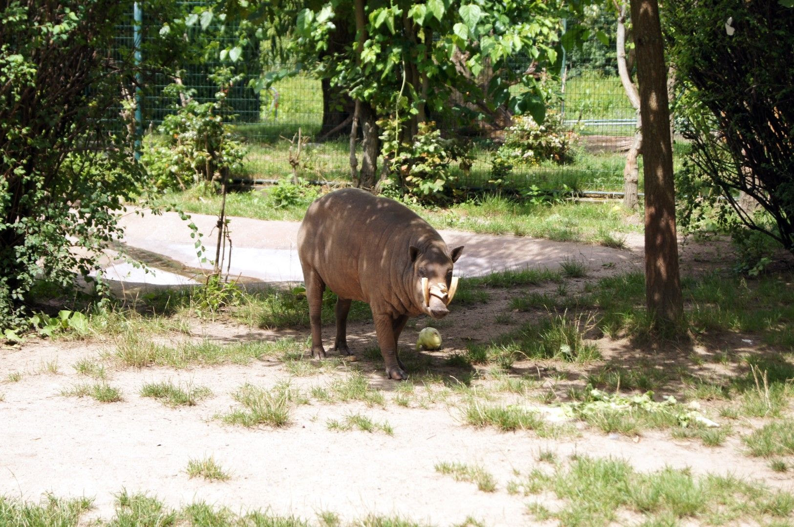 photo DSC00516Large.jpg