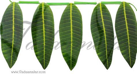 Pin by Vadaamalar on Artifical Garlands and decorations Pin by Vadaamalar on Artifical Garlands and decorations