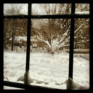 "looking through the glass"  #newhampshire #snow #winter #picoftheday