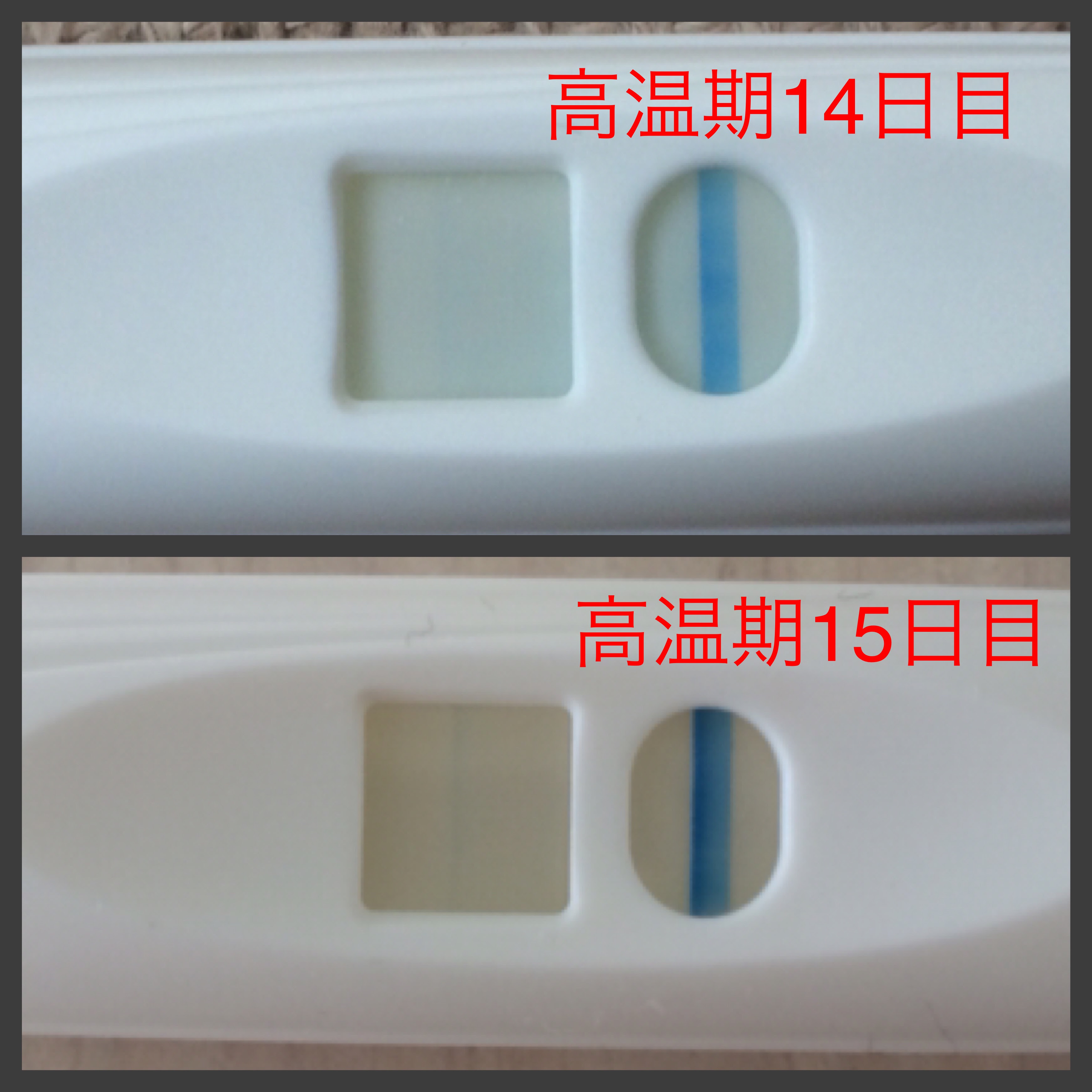 予定 4 日後 日 陰性 生理