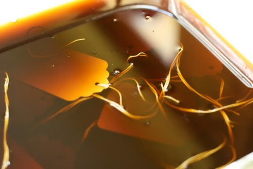 Coffee staining
