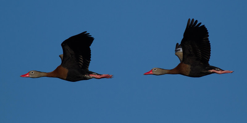 Photo & Video Sharing by SmugMug Photo & Video Sharing by SmugMug