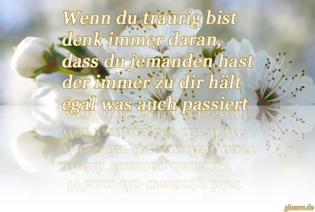 Süße Sprüche Zum Aufmuntern leticiafleabella web