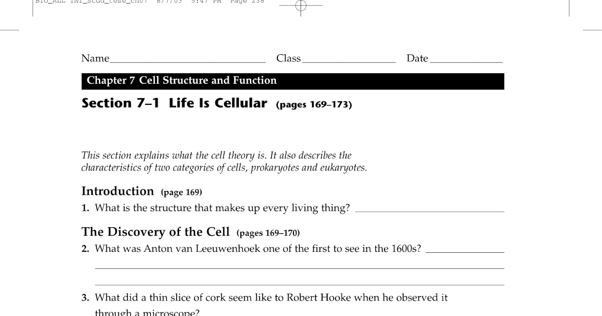 7.1 Life Is Cellular Worksheet Answer Key - What Is Cell Theory