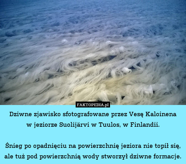 Dziwne zjawisko sfotografowane – Dziwne zjawisko sfotografowane przez Vesę Kaloinena
w jeziorze Suolijärvi w Tuulos, w Finlandii.

Śnieg po opadnięciu na powierzchnię jeziora nie topił się, ale tuż pod powierzchnią wody stworzył dziwne formacje. 