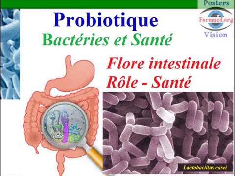 Microbiote et immunité Roles des Bacteries de la flore intestinale