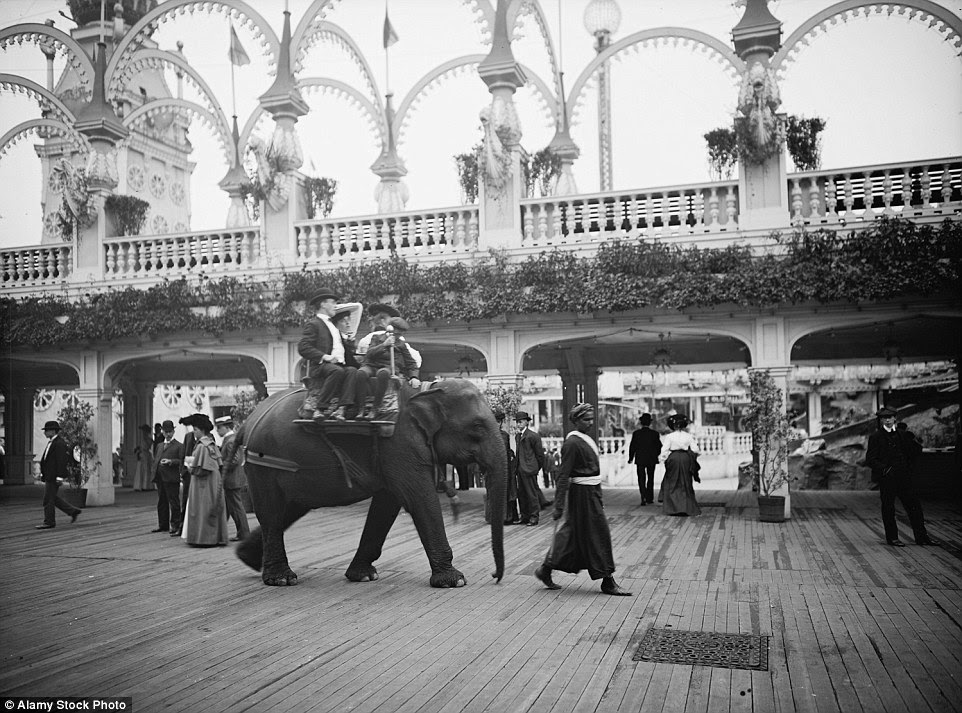 The area even offered elephant rides, with four tourists perched either side of the large animal, led by a trainer (photo taken in 1905)