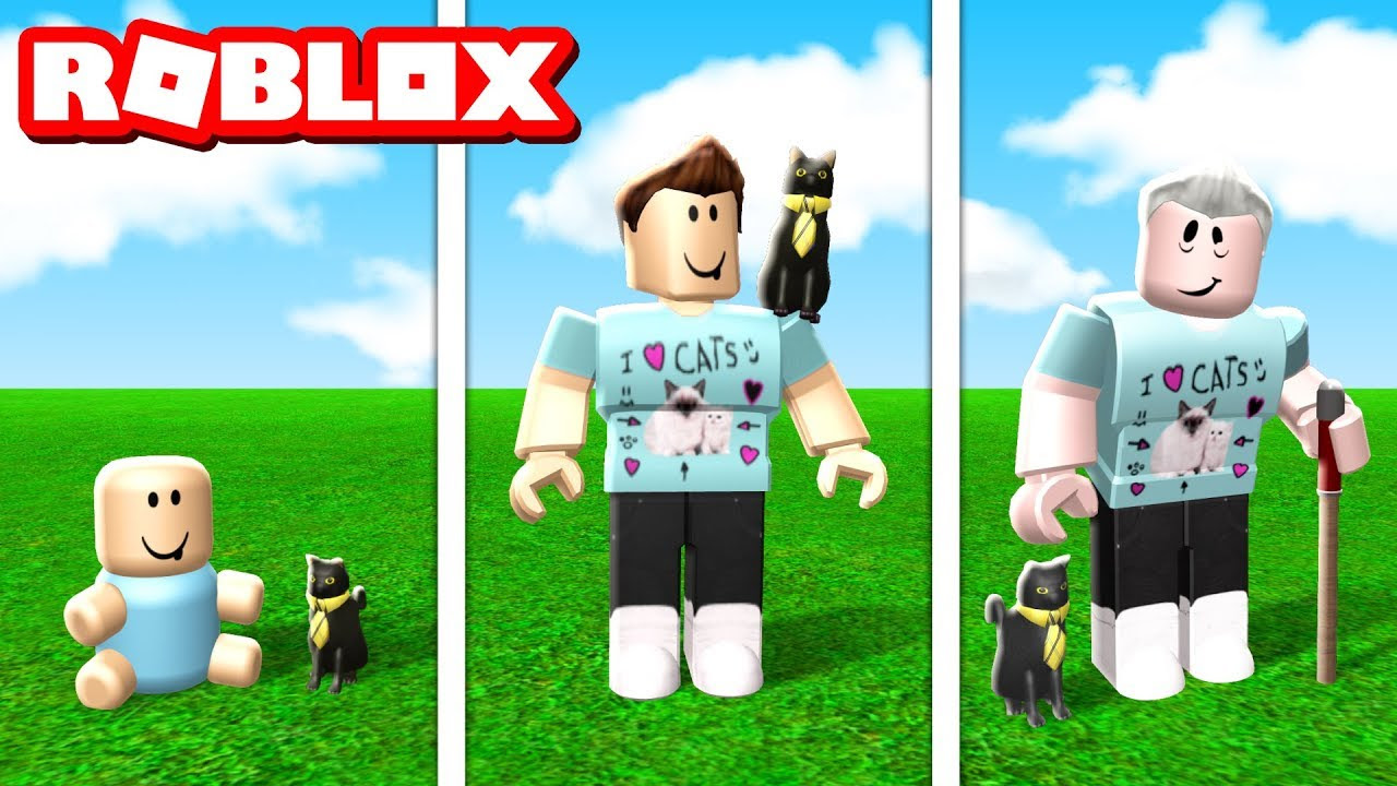 Roblox Hits The Gridiron With Nfl Avatar Uniforms And A