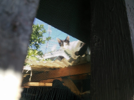 2015-09-14 (19)