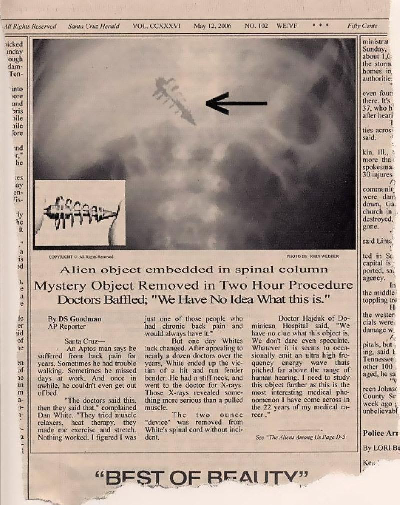 terrapapers.com_Morgellons 1