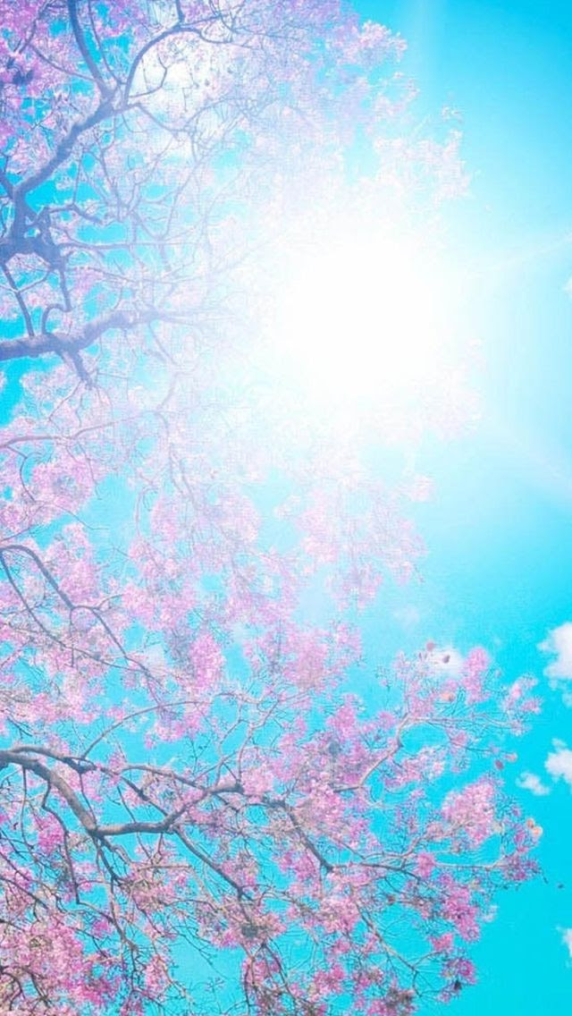 すべての美しい花の画像 最高かつ最も包括的なiphone 桜吹雪 壁紙