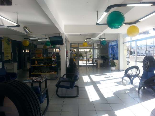 Caiado Pneus Campo Grande - Loja 2 - Campo Grande