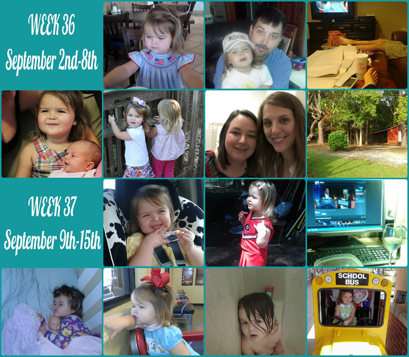 Collage365wks3637