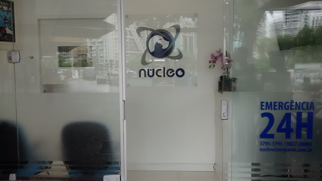 Nucleo - Hospital Veterinário 24 horas, Barra da Tijuca RJ - Hospital