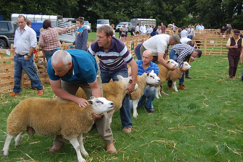 Bowes Agricultural Show Sept 12 (2)