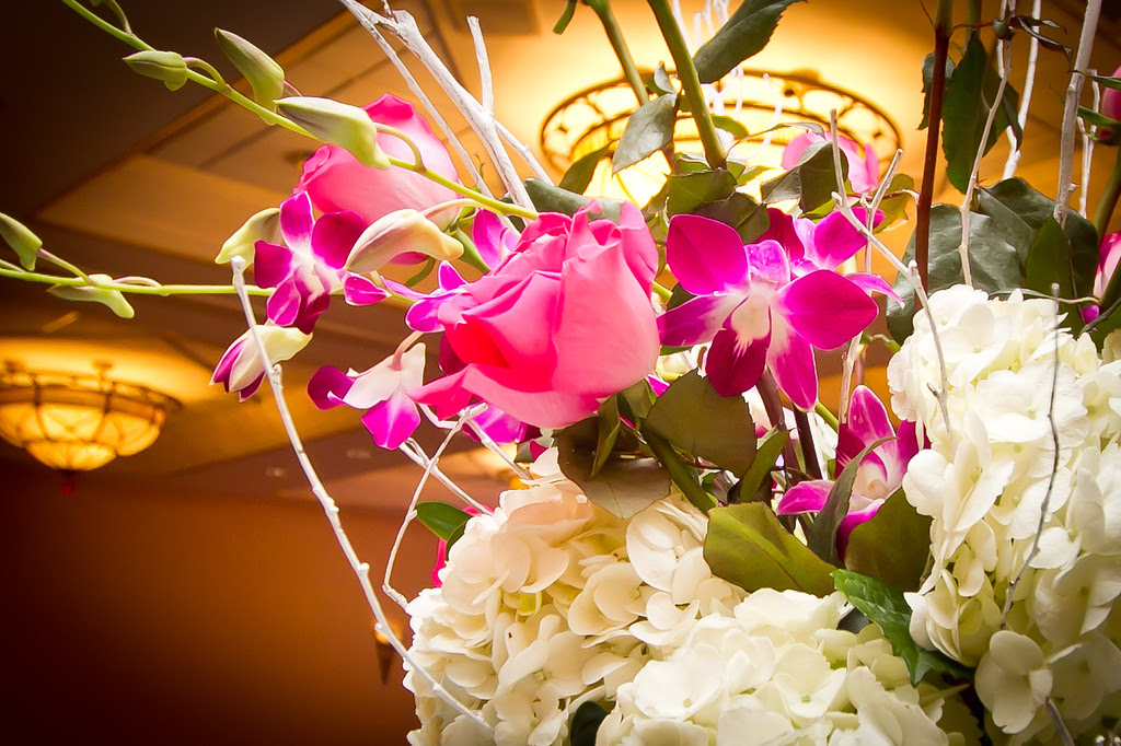 bridal show nj ny