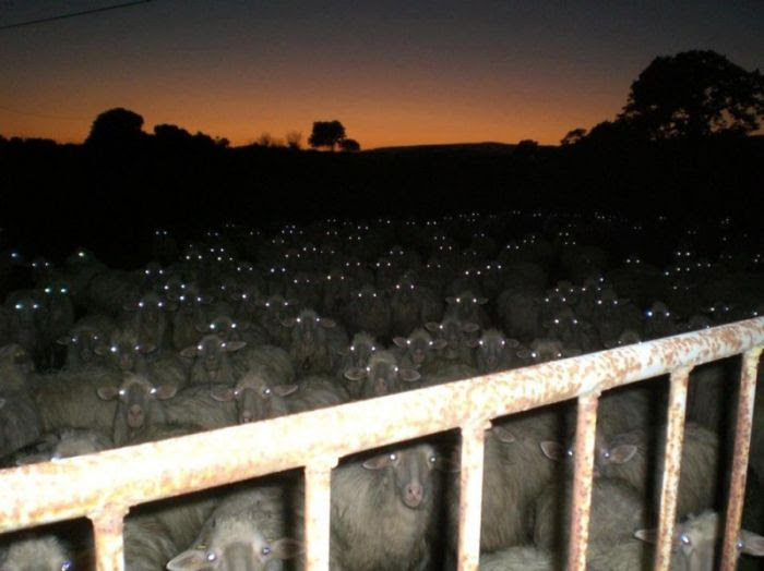 Acid Picdump (88 pics) Acid Picdump (88 pics)