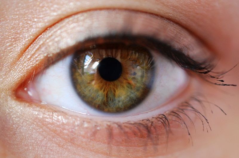Hazel Eyes Meaning In Tamil - MEANCRO