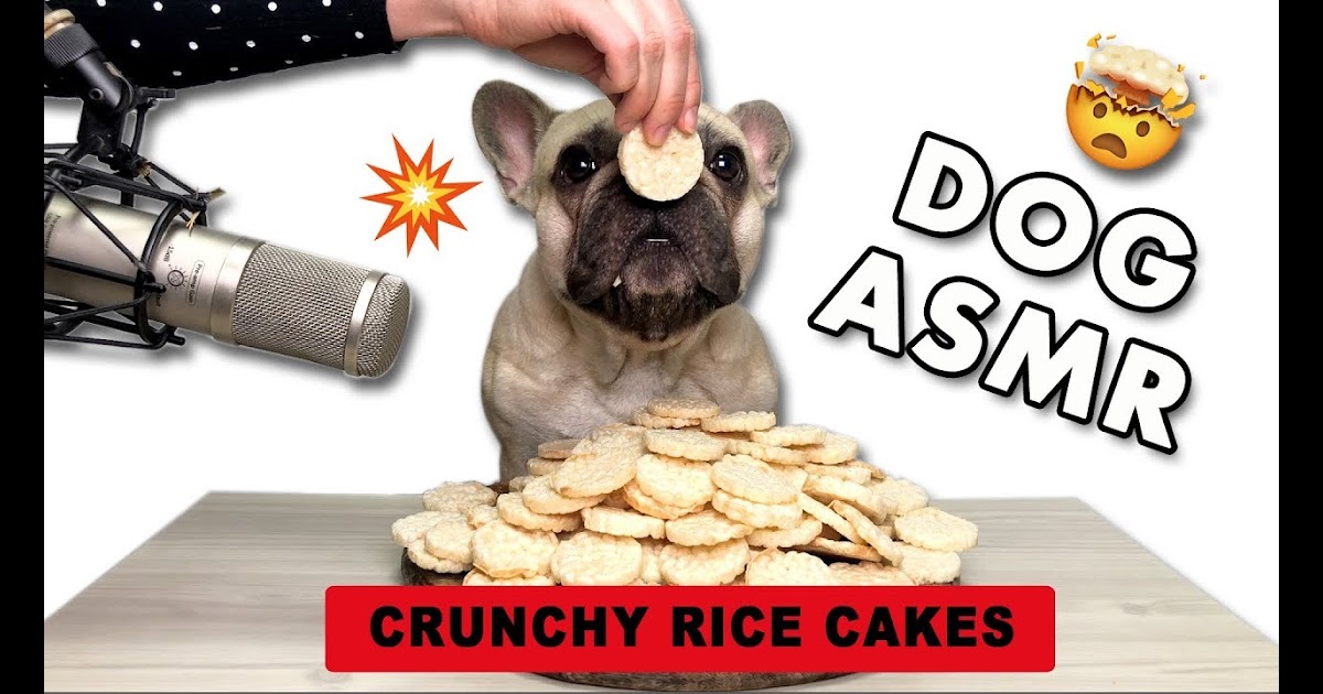 Can Rice Cakes Cause Diarrhea When Rice Cakes Kill Why You Should Be