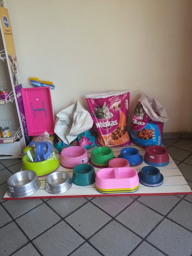 Nosso Lar - Veterinário