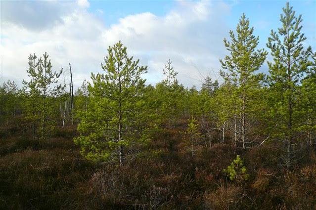 P1240969