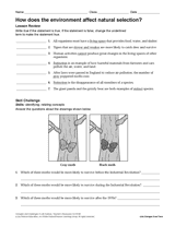 Lab: Natural Selection Student Guide Answer Key : Natural Selection