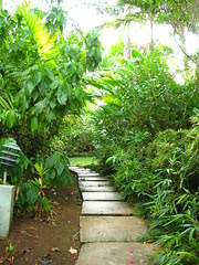 This way to the Beach!