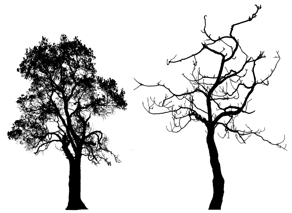 Xmas Tree Silhouette - Cliparts.co