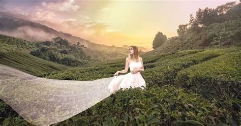 Brides can make £7 wedding dress look A LOT more expensive Brides can make £7 wedding dress look A LOT more expensive