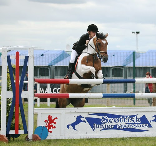 Showjumping