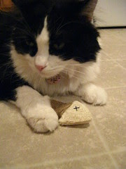 Josie with the new toy