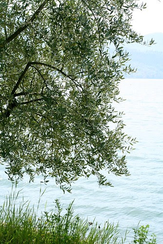 Monte isola
