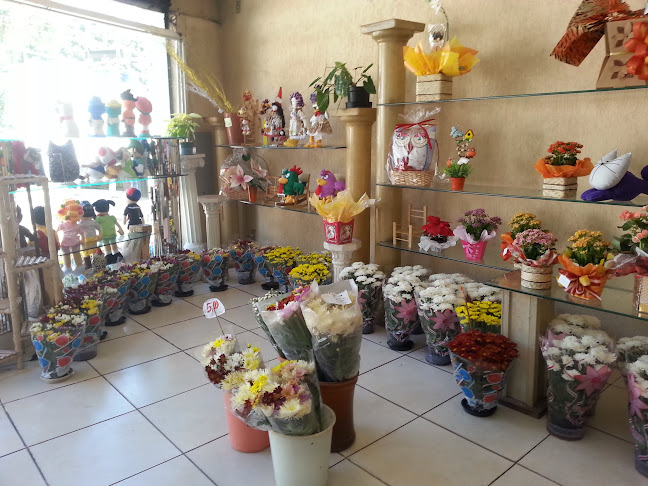 Avaliações sobre Center Flora Floricultura em São Paulo - Floricultura