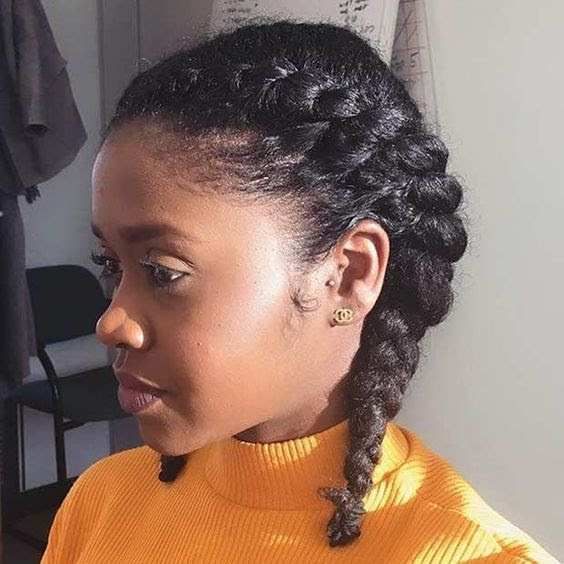 16 Natural Hairstyle Two Braids Charming Style