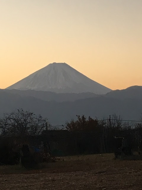 52119D31-9F56-4B5E-9C8D-667FF5424932