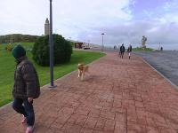 Free Image Hosting at www.ImageShack.us